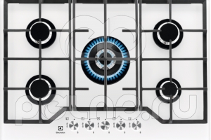 �������� ����������� Electrolux GPE373YV